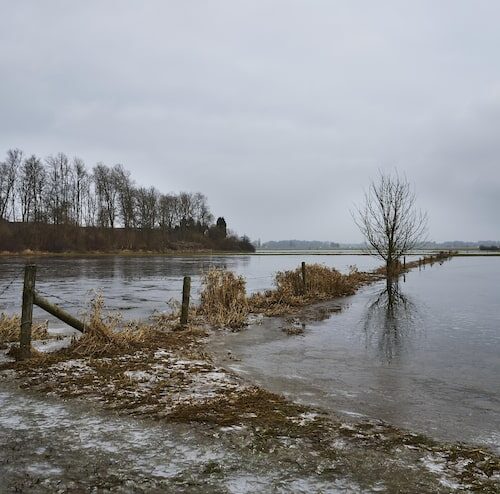 Ile zakwasu do barszczu
