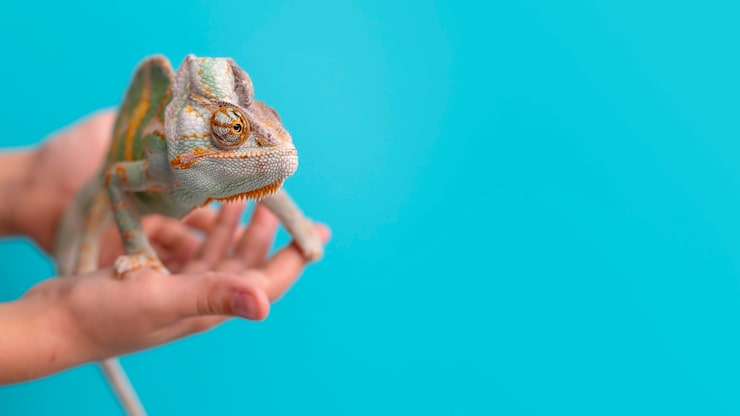 Jak Umiera Kameleon?