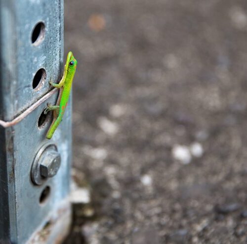 Jaka średnica otworu pod słupki ogrodzeniowe