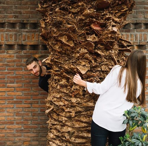 Jak Zrobić Ściankę Działową?