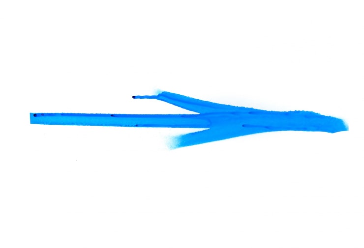 Jałowiec Blue Arrow, jak szybko rośnie