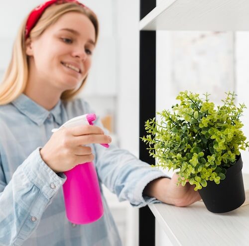 Czyszczenie bez chemii – Ekologiczne metody sprzątania domu