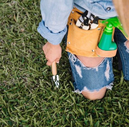 Czyszczenie działki – Jak uporządkować teren krok po kroku